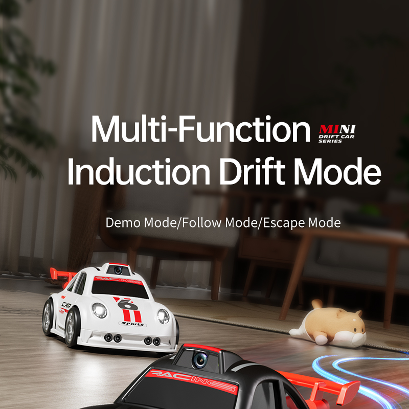 C6 Drift RC Car detail 1